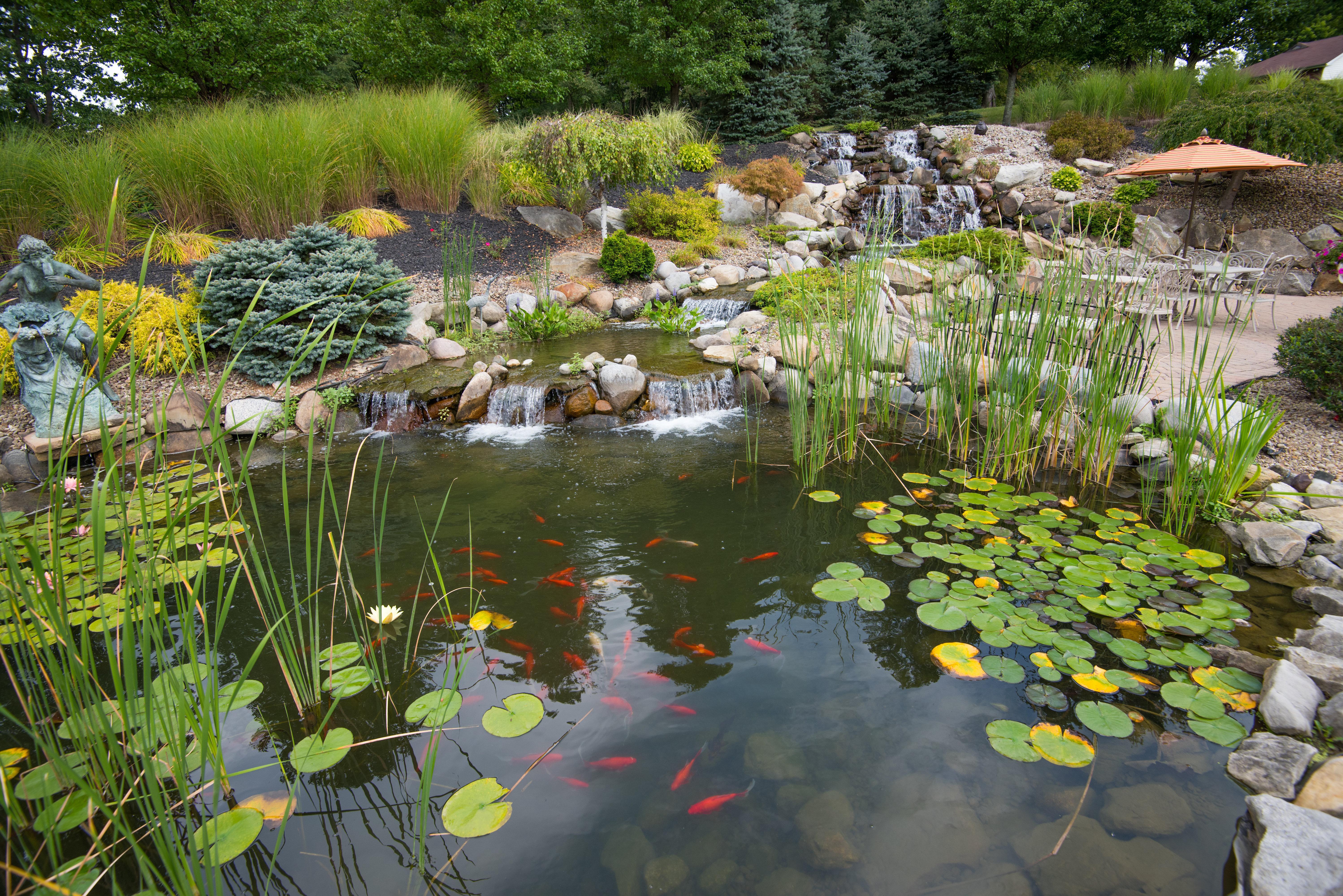 Holiday Inn Express & Suites - Sharon-Hermitage By Ihg West Middlesex Eksteriør bilde